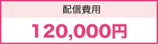 お見積もり120,000円?