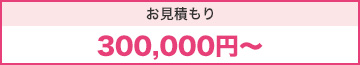 お見積もり300,000円