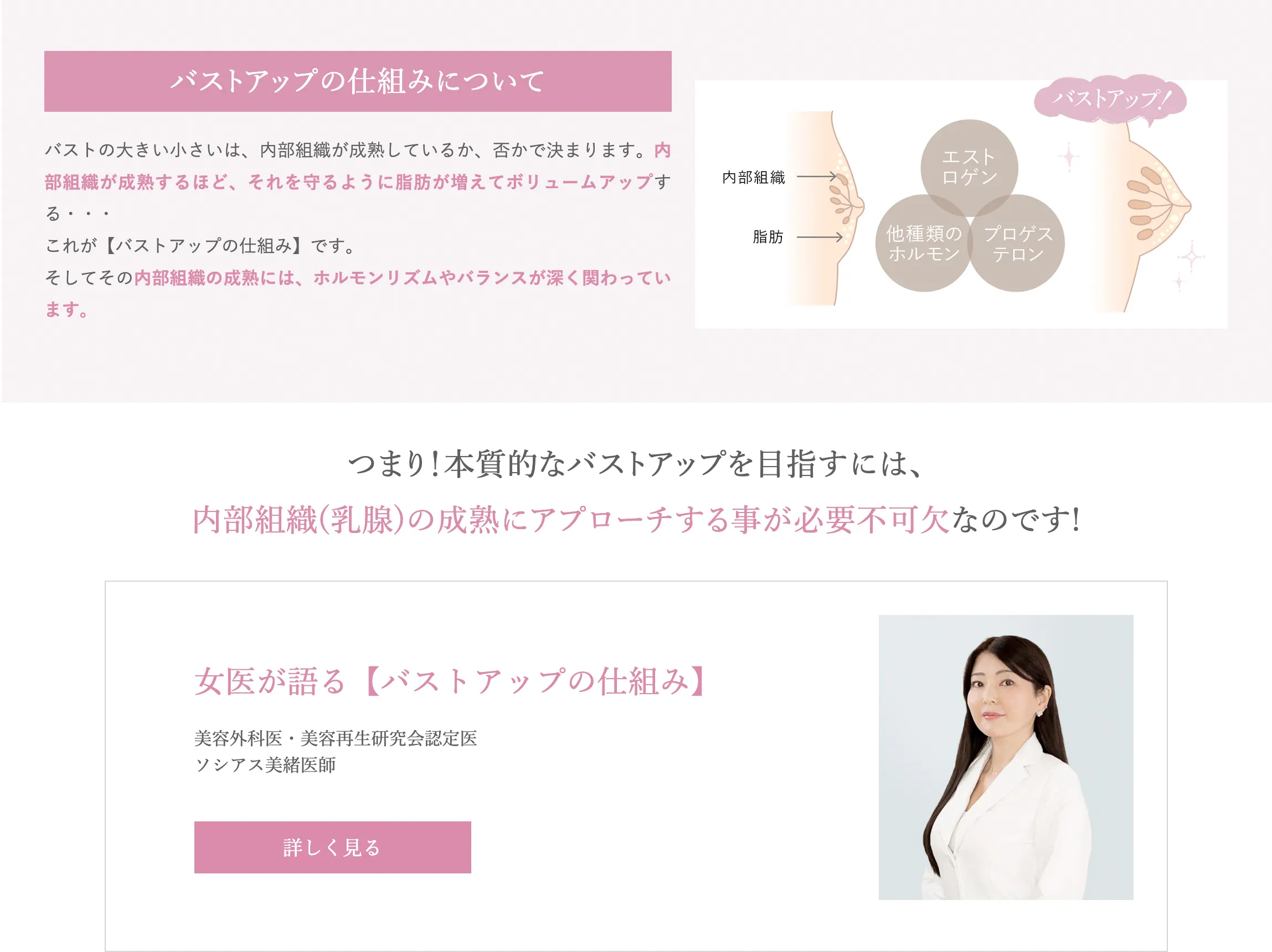 株式会社M-CREATES様 SEO記事の執筆・監修